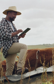 A farmer with a tablet beside his cattle